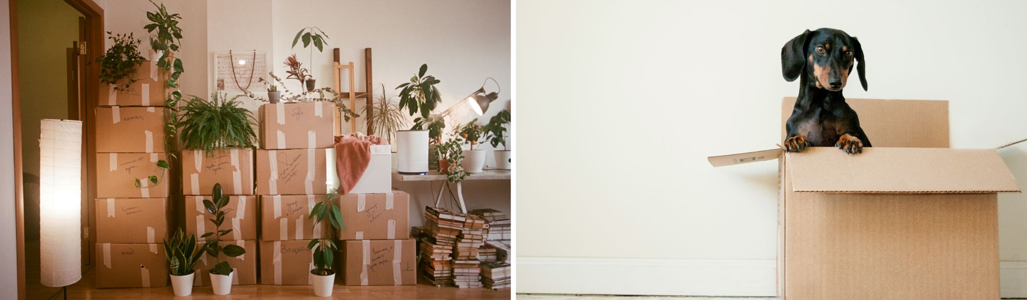 10 Moving Day Tips for a Stress-Free Move