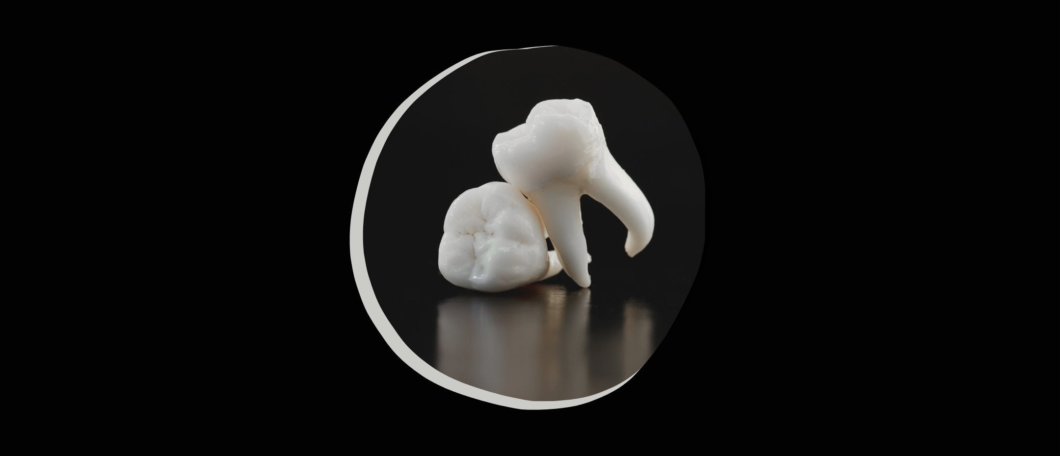 Two wisdom teeth on a black background