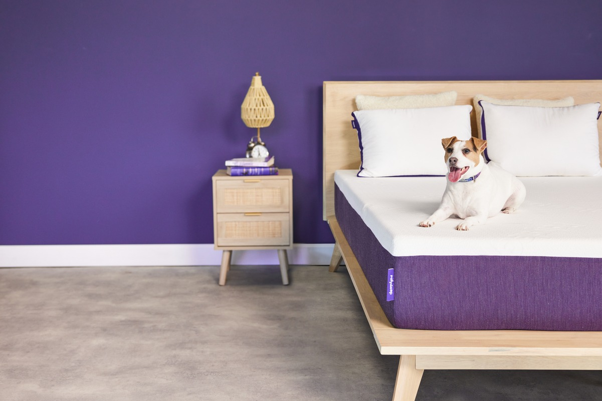 Polysleep vs Douglas vs Silk & Snow: which is the best Canadian mattress brand in 2026?