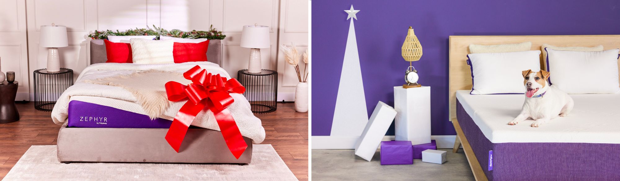 Shop the Perfect Gifts: Take Our Polysleep Holiday Quiz!