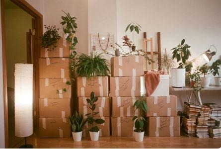 Moving to the Plateau: How to Carry Your Boxes Up Spiral Staircases